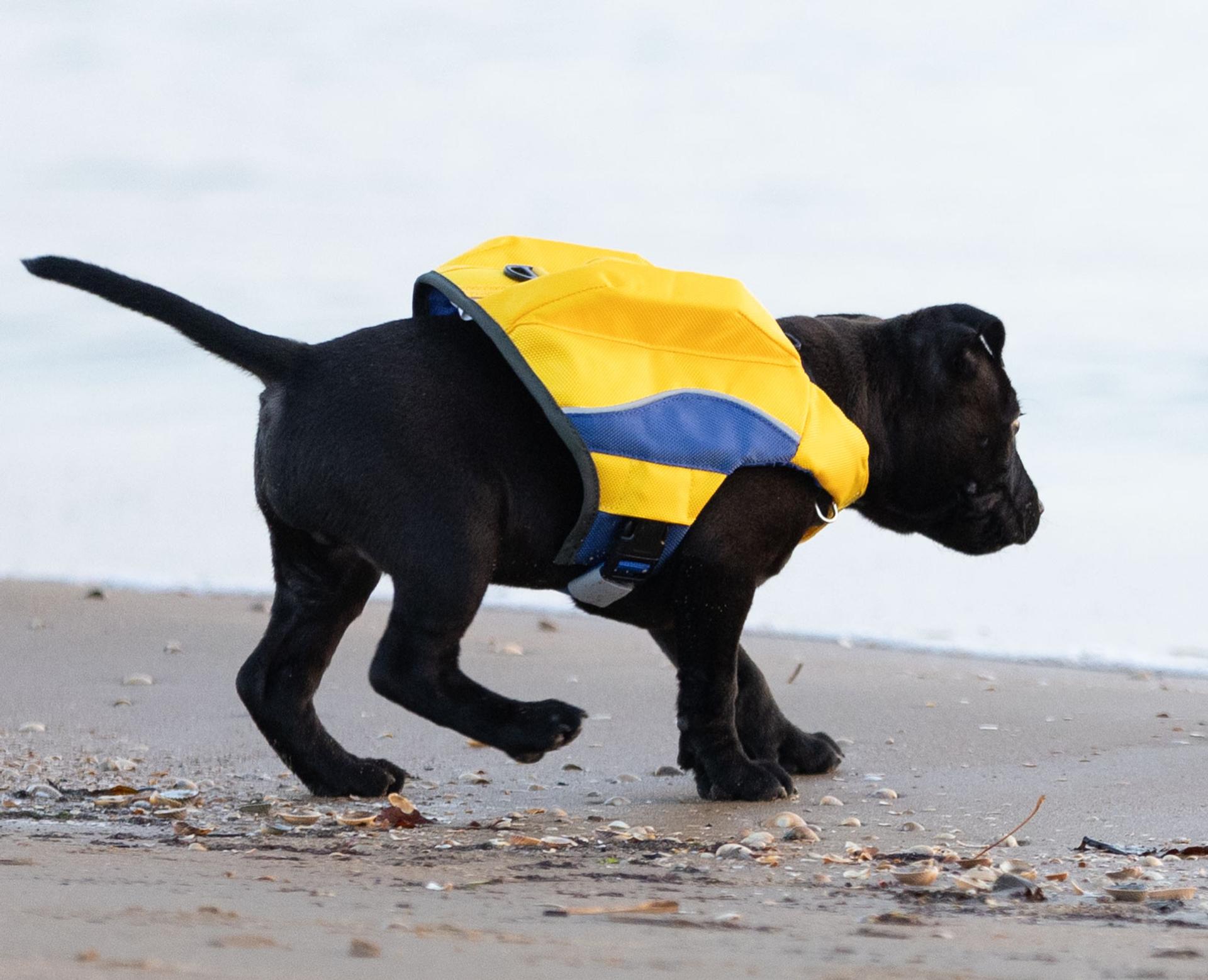 DogSafe Pro Life-Jacket - Yellow - 2